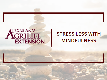 Stress Less with Mindfulness